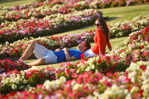 Victoria State Rose Garden At Werribee Park - C Tourism 1
