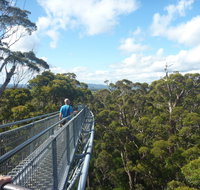 Walpole-Nornalup National Park - C Tourism
