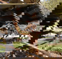 Walcha Open Air Gallery - C Tourism