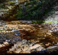 Wilson River picnic area - C Tourism
