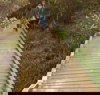Balcombe Creek Estuary Boardwalk - C Tourism