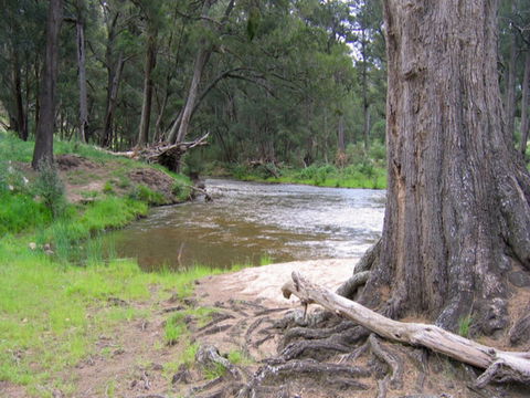Bangadilly National Park - C Tourism 0