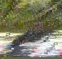 Berry Springs - C Tourism