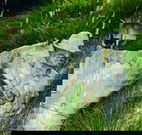 Centenary Park - C Tourism