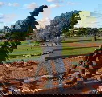 Cobar Miners Heritage Park - C Tourism