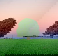 Condamine - C Tourism