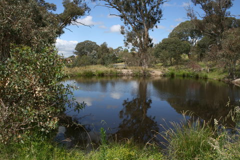 Cooleman Ridge - C Tourism 0