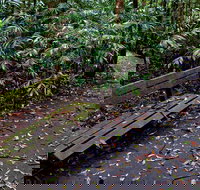 Coombadjha Nature Stroll - C Tourism