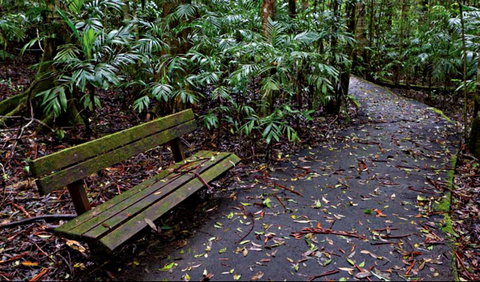 Coombadjha Nature Stroll - C Tourism 0