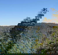 Cooks Nose Walking Track - C Tourism