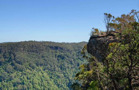 Cooks Nose Walking Track - C Tourism 0