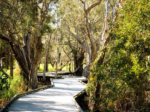Eagleby Wetlands - C Tourism 1