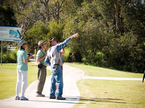 Eagleby Wetlands - C Tourism 2