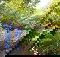 Endeavour Fern Gully Walks - C Tourism