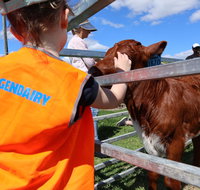 Farm Visit  Dungog - C Tourism