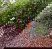 Gibraltar-Washpool World Heritage Walk - C Tourism