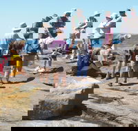 Gondwana Coast Fossil Walk - C Tourism