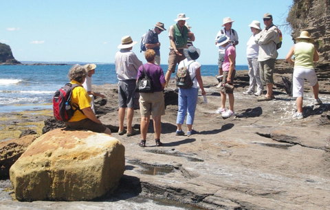Gondwana Coast Fossil Walk - C Tourism 0