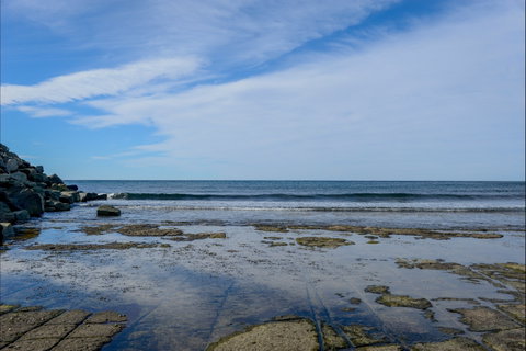 Gondwana Coast Fossil Walk - C Tourism 1