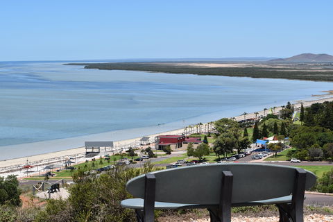 Hummock Hill Lookout - C Tourism 2