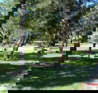 Inglewood Apex-Lions Park - C Tourism