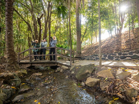 Kholo Gardens Trails - C Tourism 1