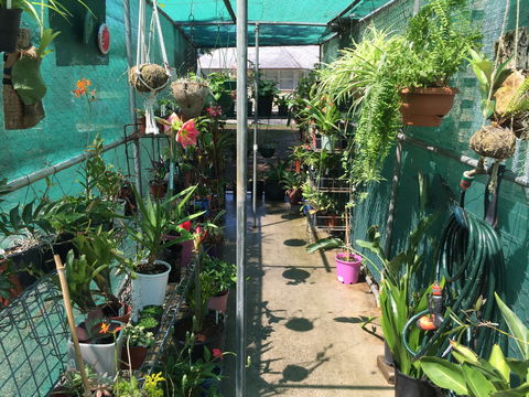 Kilcoy Craft Market - C Tourism 1