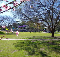 Koshigaya Park - C Tourism