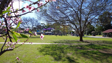 Koshigaya Park - C Tourism 0