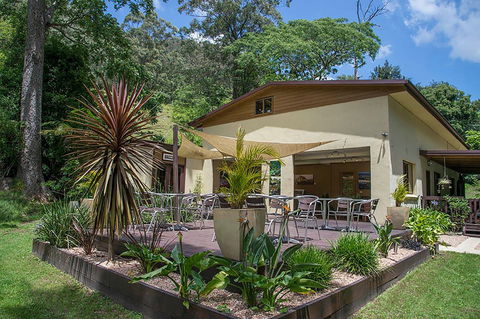 Kramer Photography Rainforest Gallery - C Tourism 2