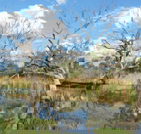 Lagoon Creek - C Tourism