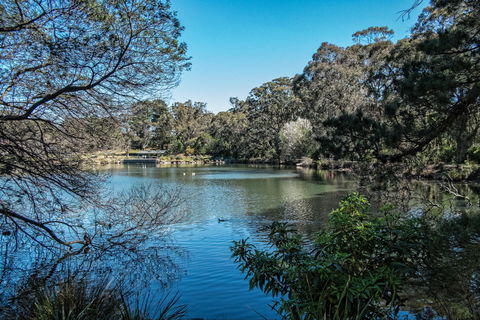 Lake Alexandra Reserve - C Tourism 1