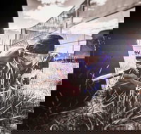 Luddenham Raceway Paintball - C Tourism