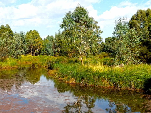 Mansfield Mullum Wetlands - C Tourism 0