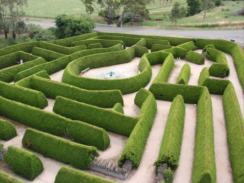 Mintaro Maze - C Tourism 0