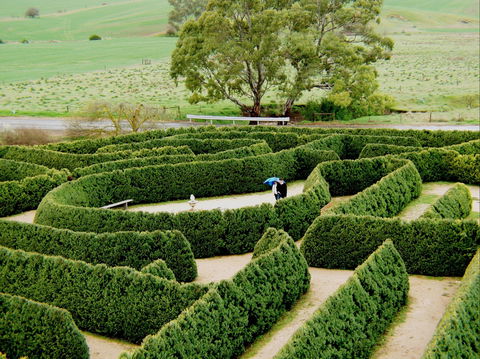 Mintaro Maze - C Tourism 1