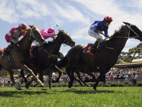 Moruya Racecourse - C Tourism 0