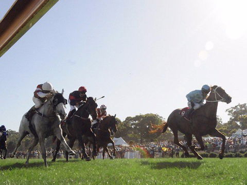 Moruya Racecourse - C Tourism 1