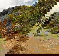 Mountain Biking Trails - C Tourism
