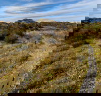 Murramarang Aboriginal Area Walking Track - C Tourism