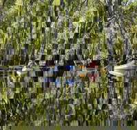 Murray River canoe trails - C Tourism