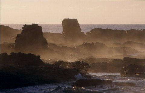 Mystery Bay Short Walk - C Tourism 1