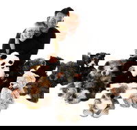 Nanas Teddies and Toys - C Tourism