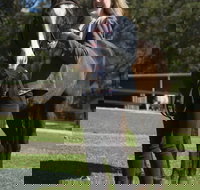 Otford Farm Horse Riding - C Tourism