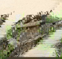 Pebbly Beach to Snake Bay walking track - C Tourism