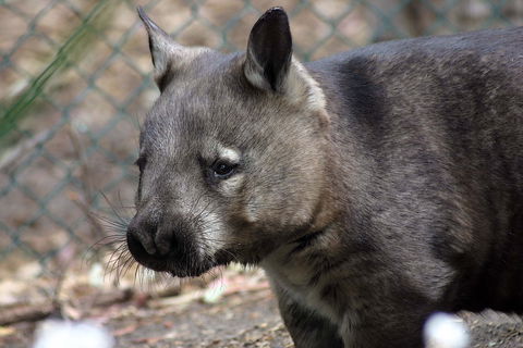 Peel Zoo - C Tourism 0