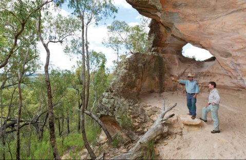 Pilliga National Park - C Tourism 0