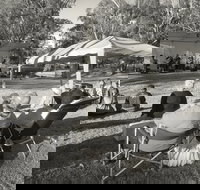 Pioneer Park - C Tourism