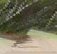 Riverview walking track - C Tourism