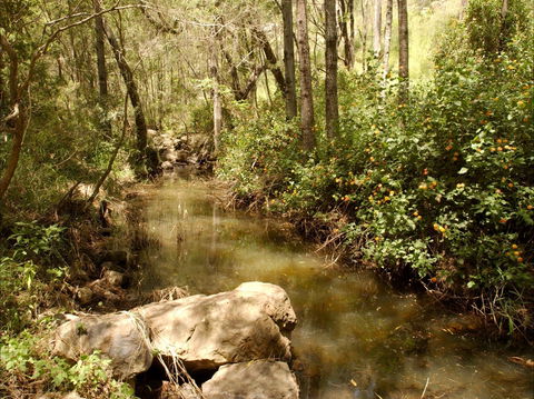 Sandy Creek Track - C Tourism 0